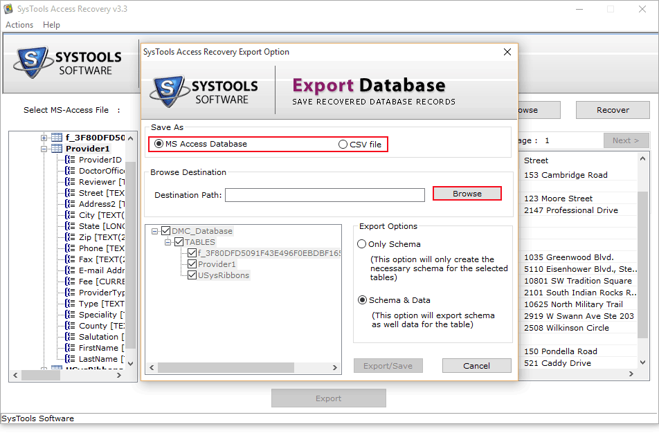 Save in MDB/CSV format